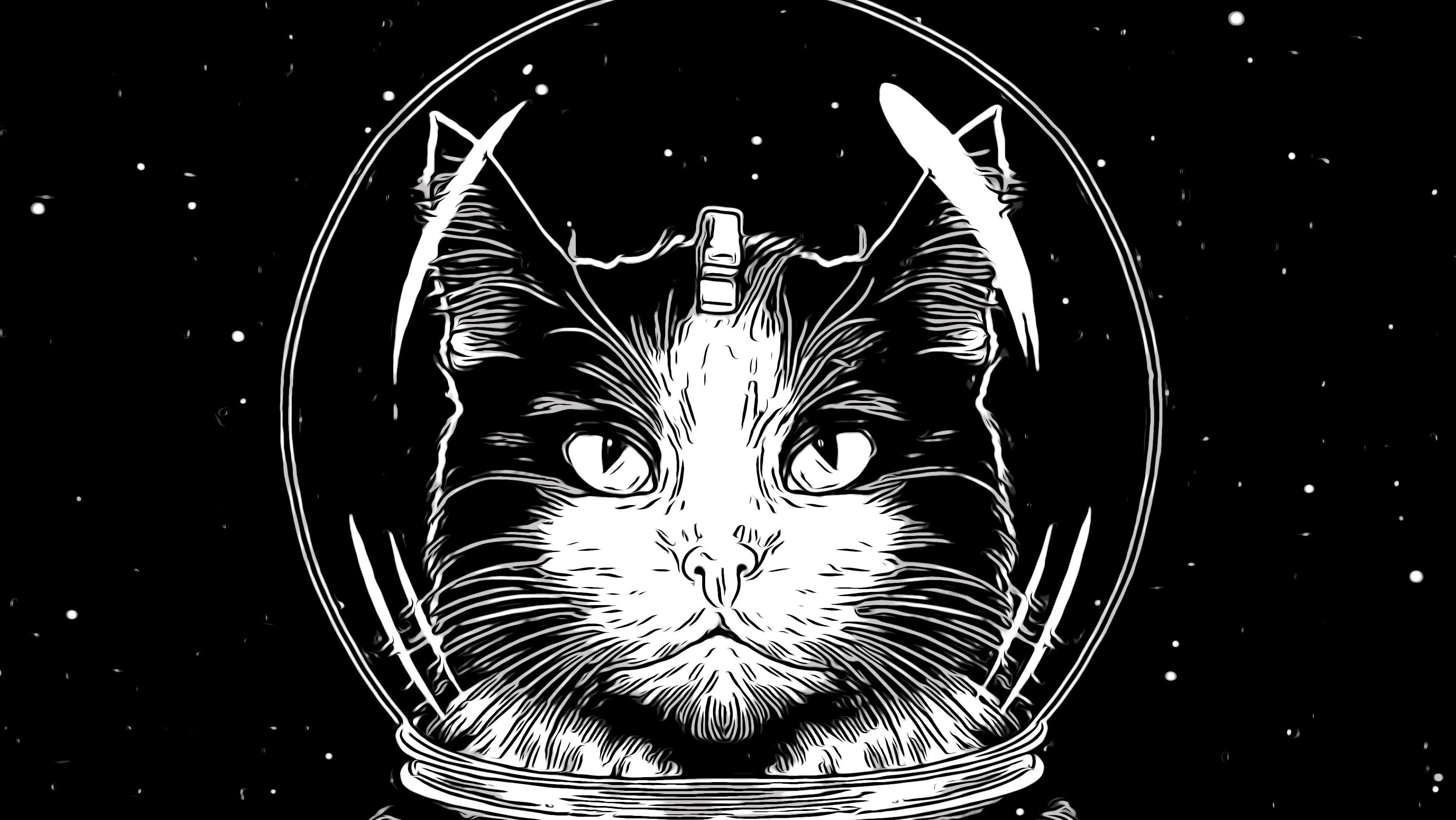 Кошка полетевшая в космос. Кот космонавт Фелисетт. Кошка Фелисетта в космосе. Кот космонавт арт. Котик в космосе арт.