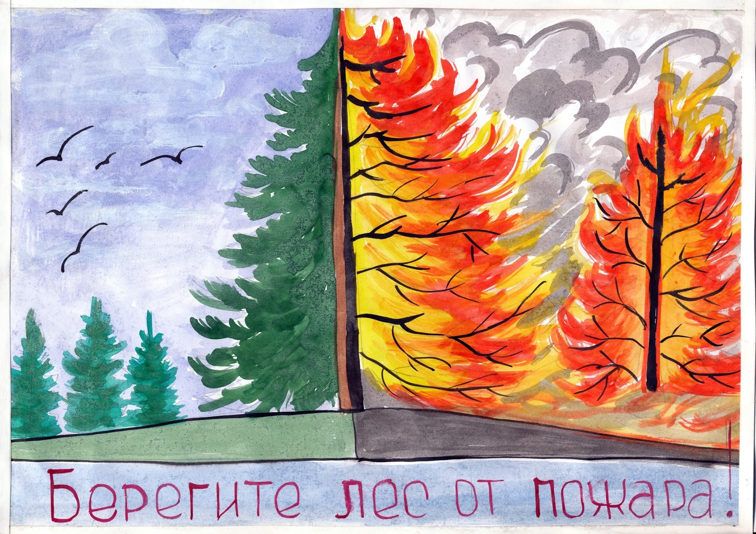 Сгоревший лес рисунок
