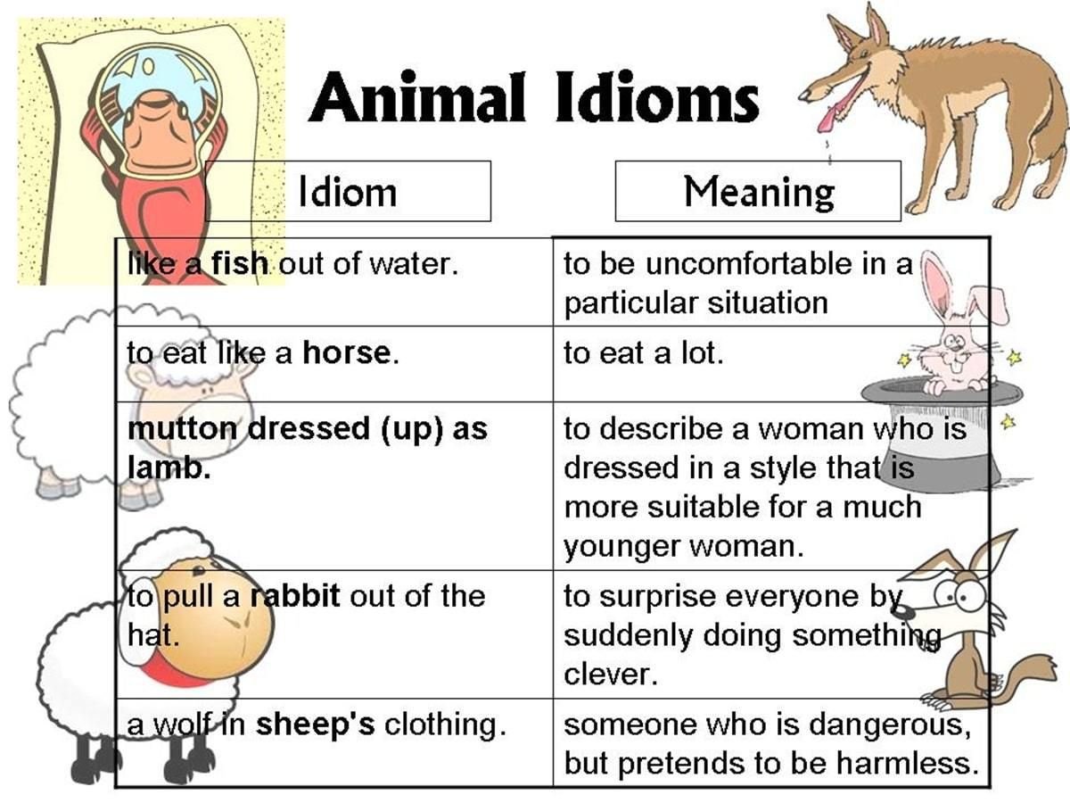 Idioms with roof. Идиомы на английском. Английский язык. Идиомы. Фразеологизмы в английском языке. Идиомы с животными.