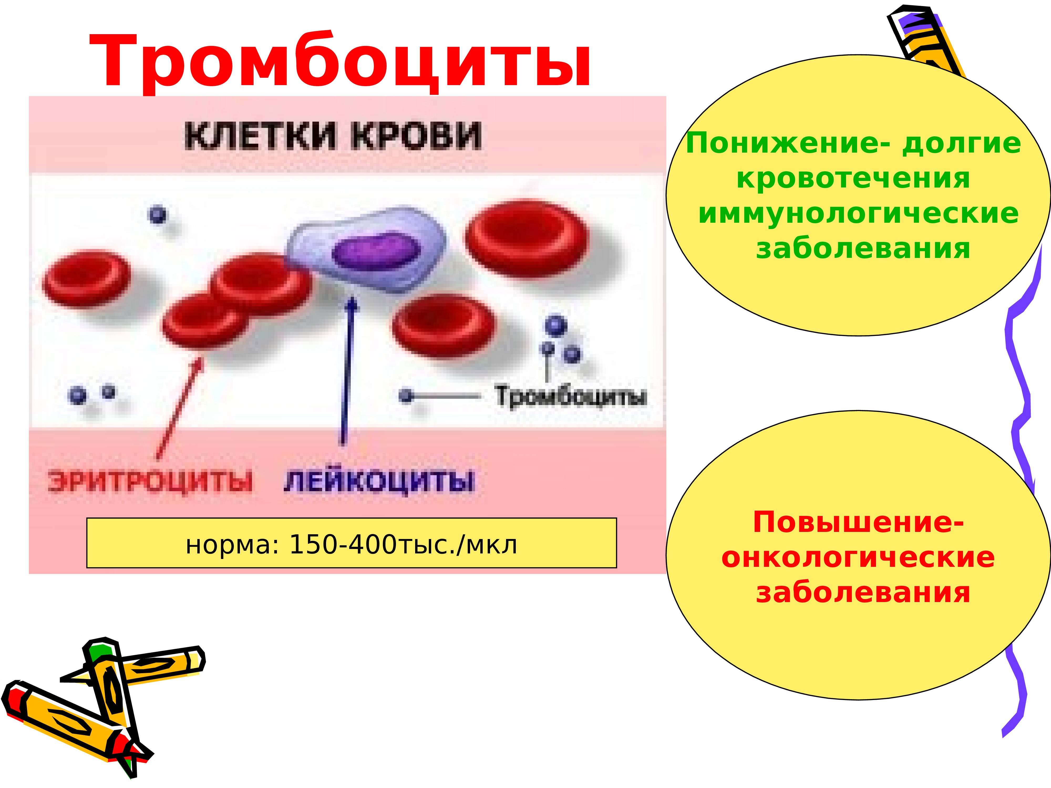 Укажи функции крови человека. Форменные элементы крови строение эритроциты. Форменные элементы эритроциты лейкоциты тромбоциты. Форменные элементы крови кровяные пластинки. Кровь эритроциты лейкоциты тромбоциты.
