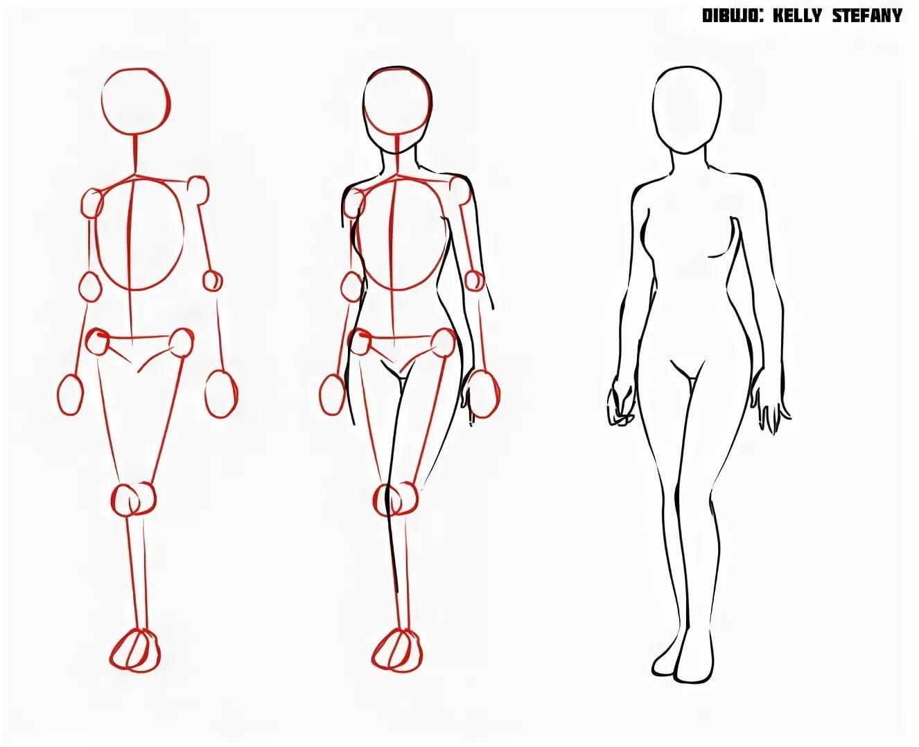 Как нарисовать человека поэтапно. Тело для рисования. Схема рисования человека для начинающих. Рисование тела для новичков. Строение тела для рисования.