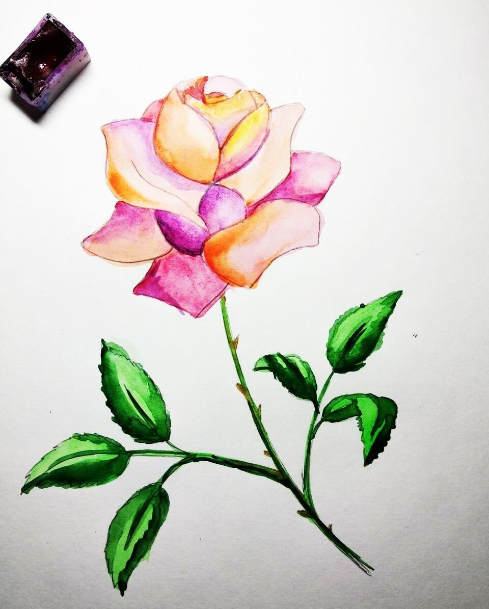 Легкие рисунки красивые 7 лет. Рисунки для срисовки цветы. Рисунки лёгкие и красивые. Красивые рисунки для срисовки красками. Рисунок розы для срисовки.