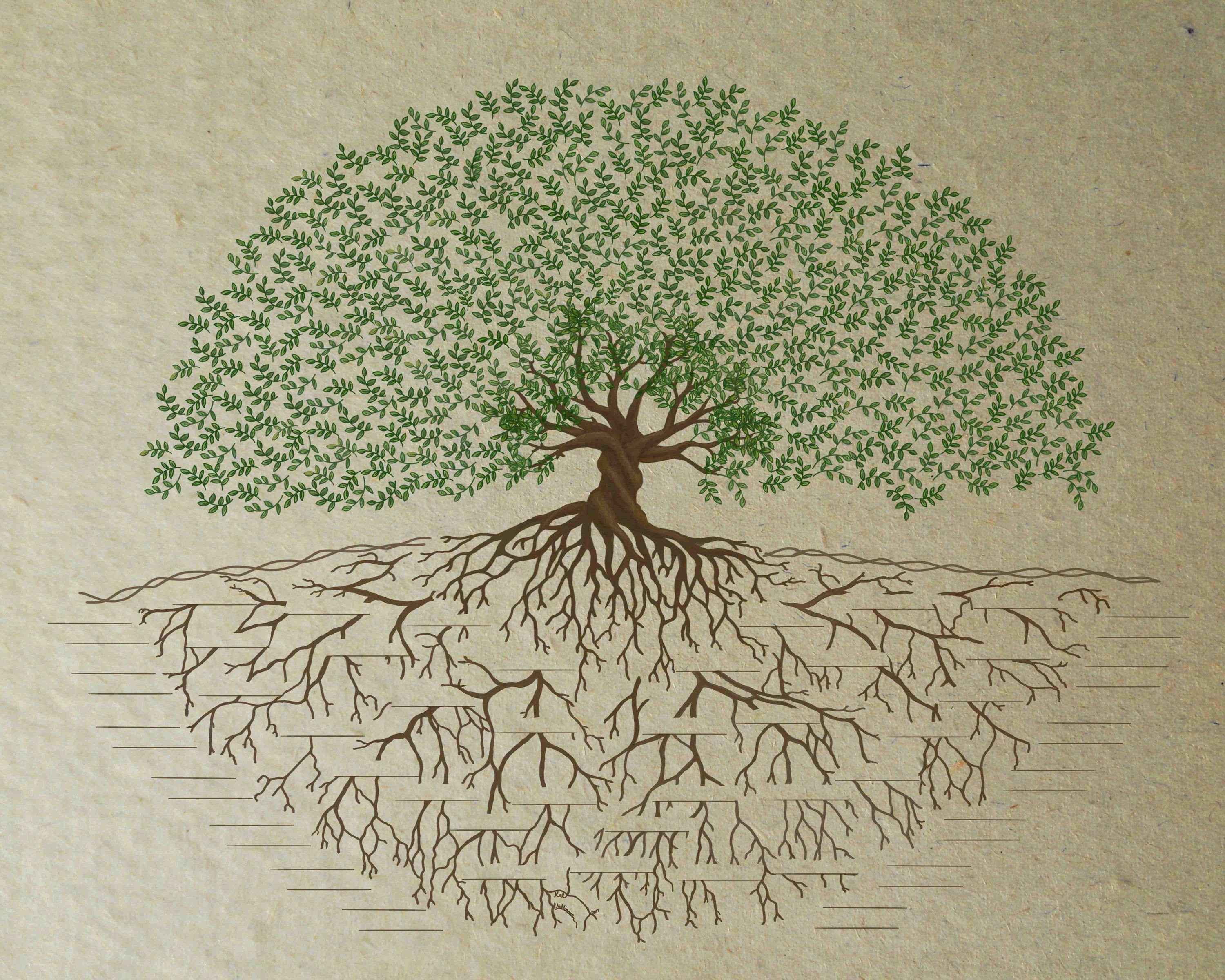 Найти предков. Родовое Древо корни рода. Родословная дерево с корнями. Генеологичне дерево корни. Синельников родовое дерево.