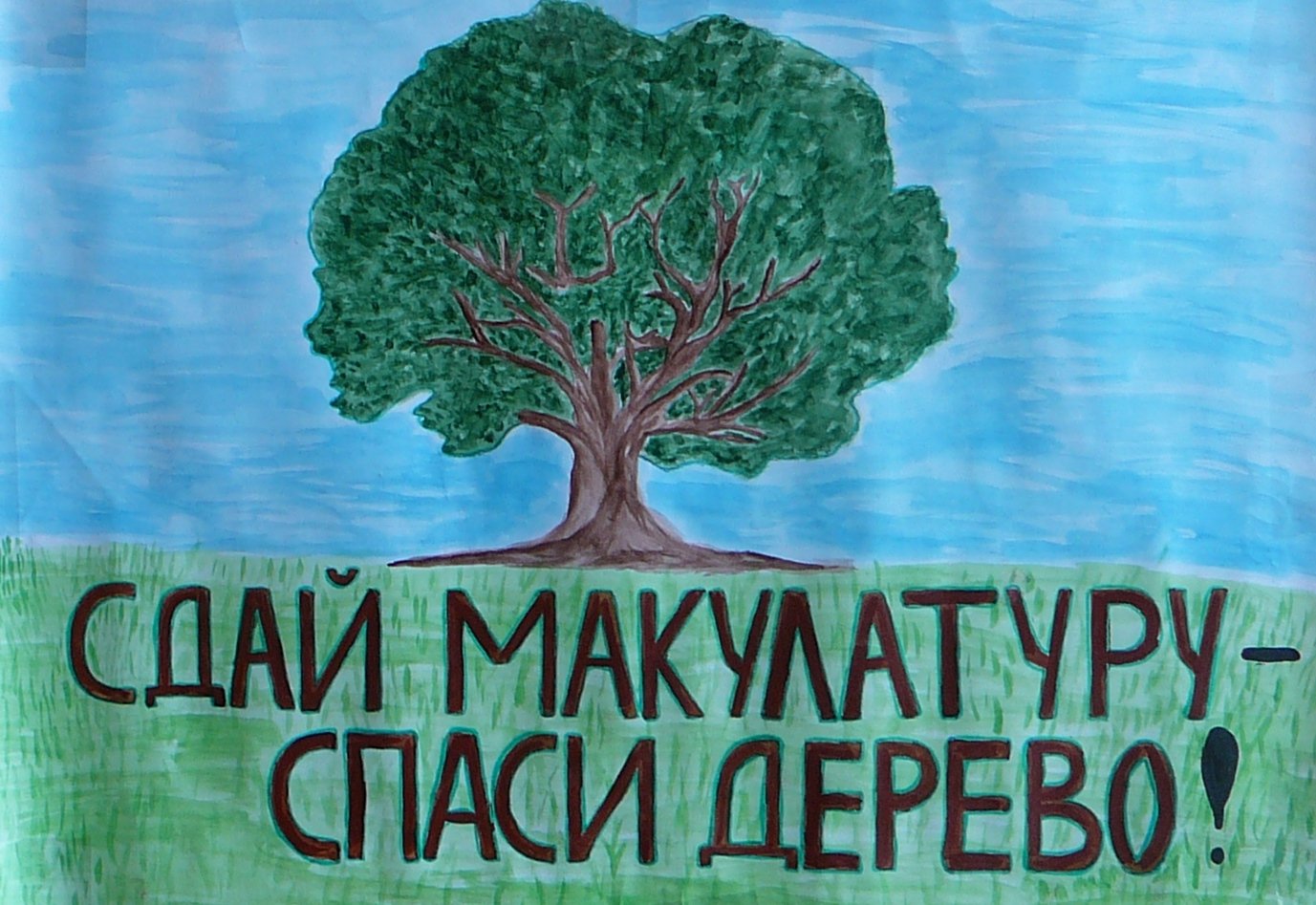 Про сбор макулатуры. Берегите деревья. Собери макулатуру сохрани дерево. Макулатура плакат. Спаси дерево.
