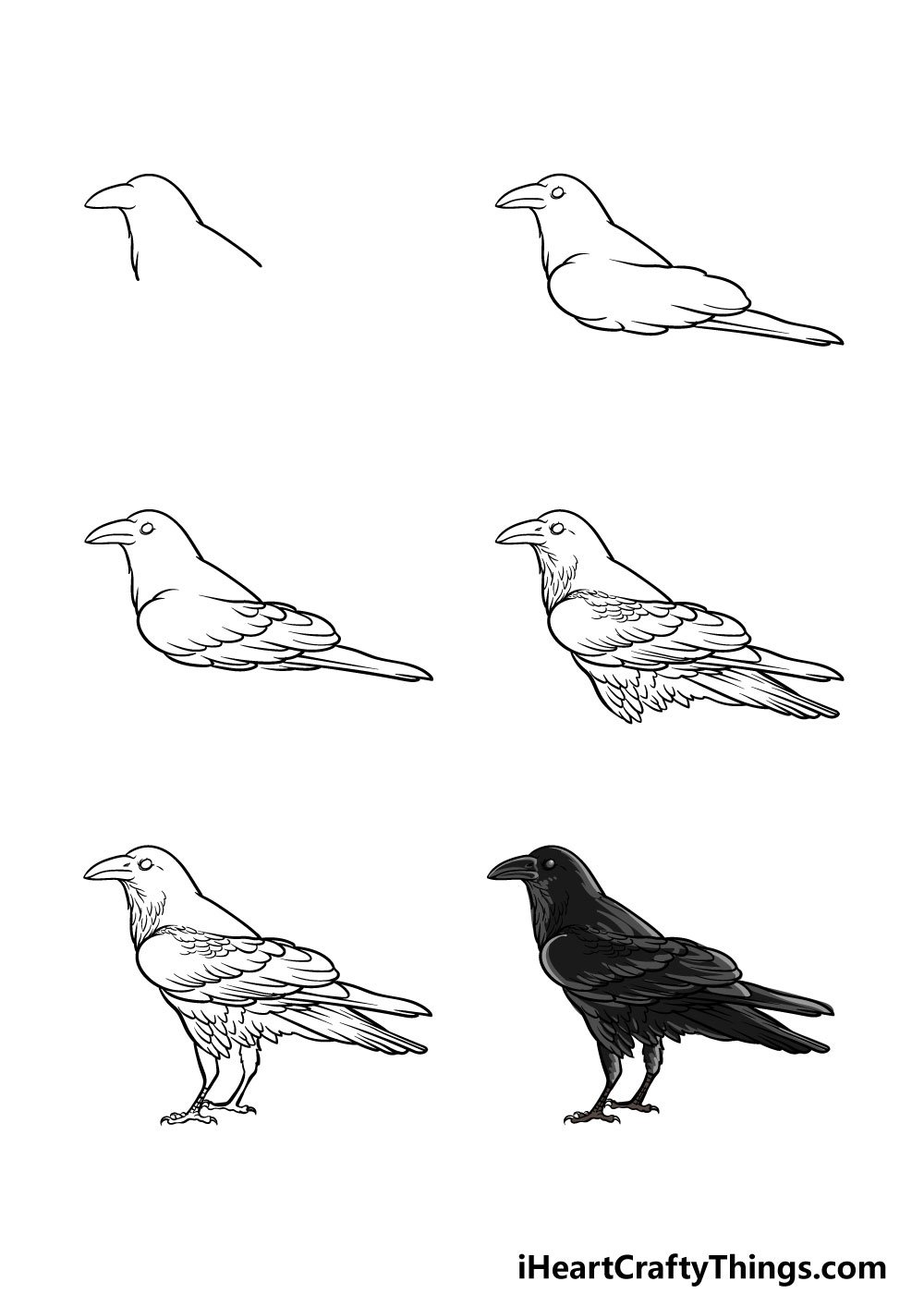 Ворона рисунок карандашом легкий