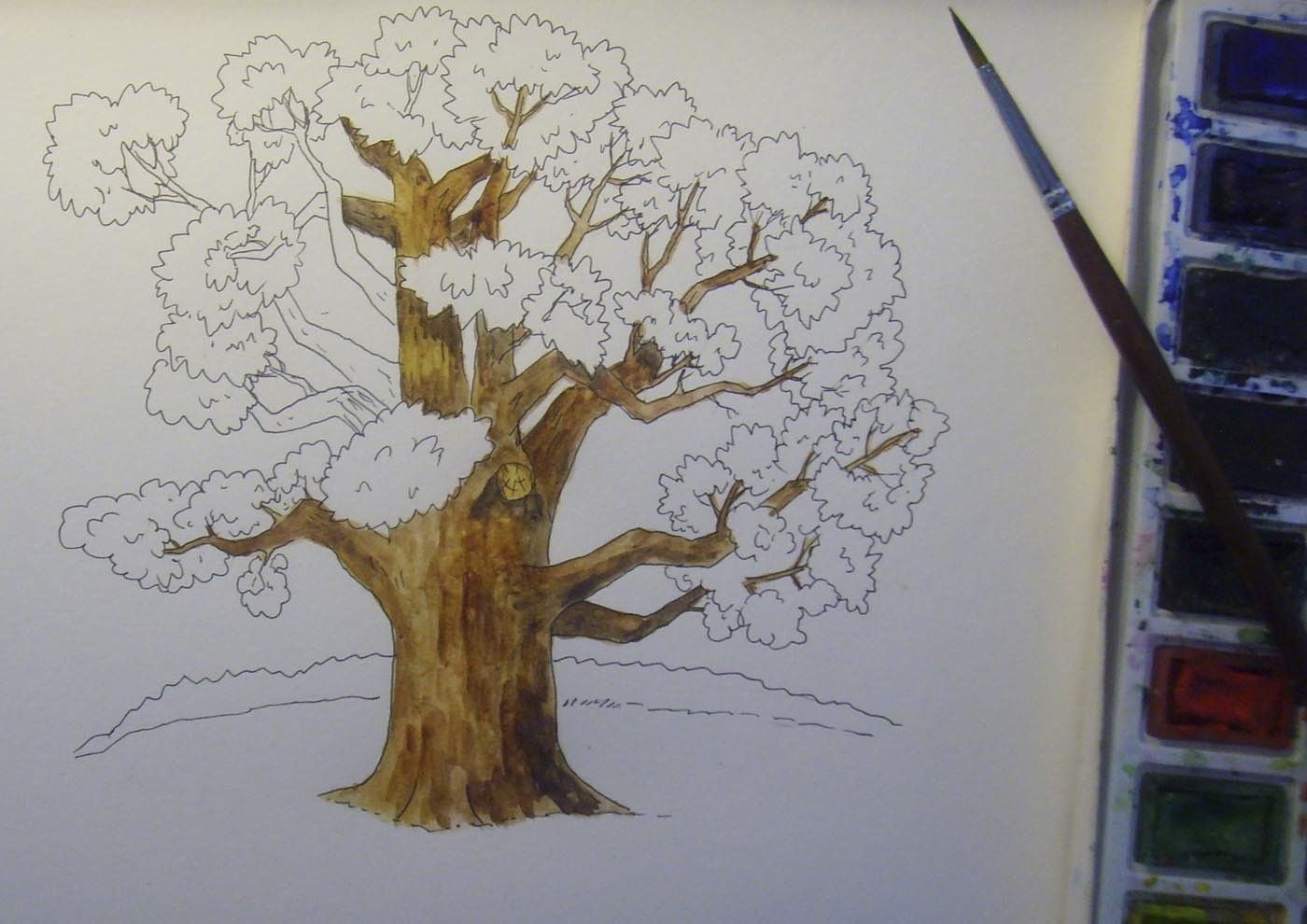 Как рисовать дерево. Дерево для рисования. Рисование дуба. Дерево карандашом. Поэтапное рисование дуба.