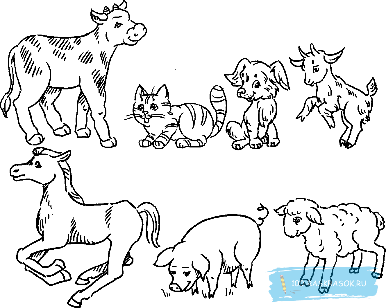 Животные группами раскраски. Раскраска домашние животные. Раскраски животные для детей. Домашние животные раскраска для детей. Домашние животные картинки раскраски.