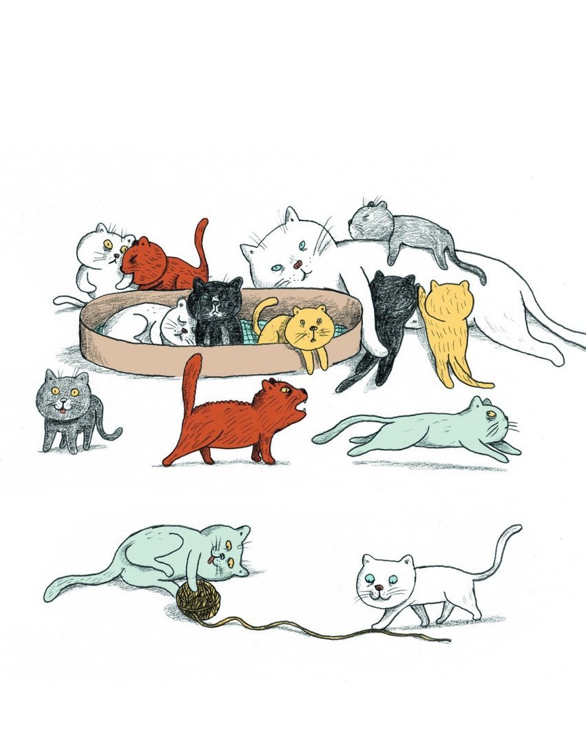 Планета кошек рисунок