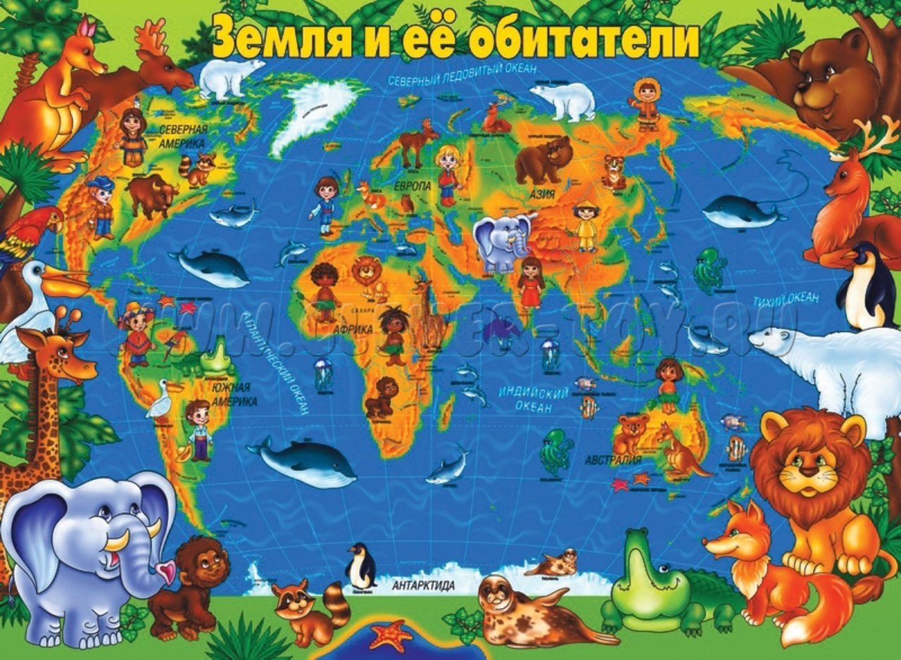 Окружающий мир 2017 году. Животные разных континентов. Континенты для дошкольников. Материки для детей. Обитатели земли для детей.