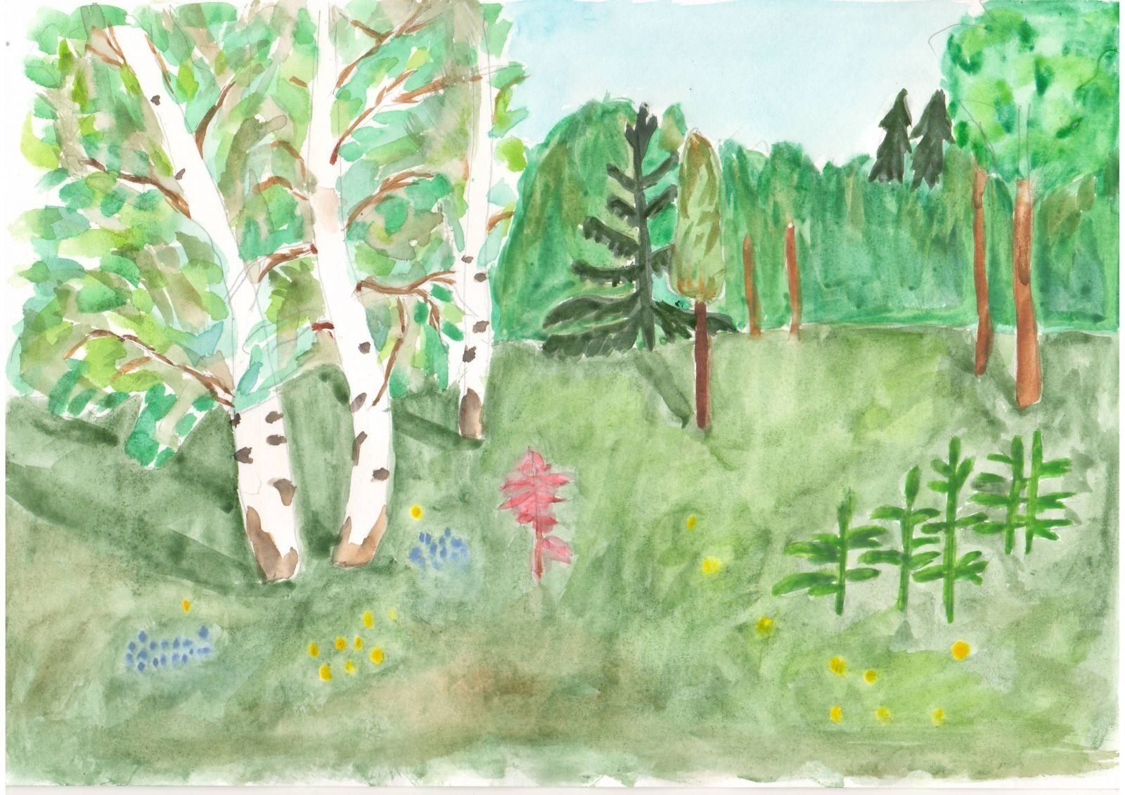 Лесная красота рисунок. Рисование для детей лес. Лес глазами детей. Детский рисунок лес. Рисунок леса для детей.