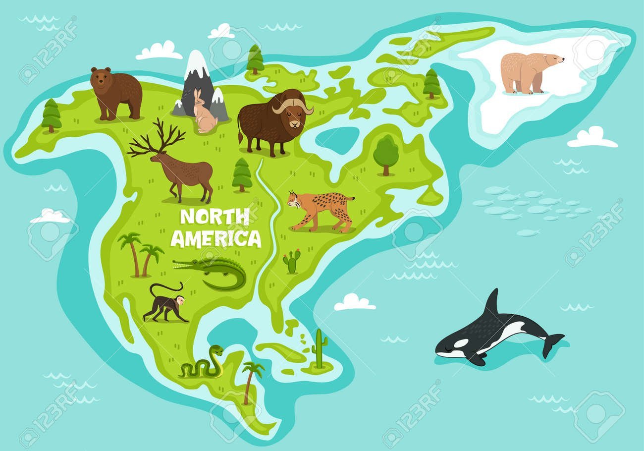Животный мир материка северная америка. Северная Америка для детей. Животные Северной Америки на карте. Северная Америка карта для детей. Континент Северная Америка для детей.