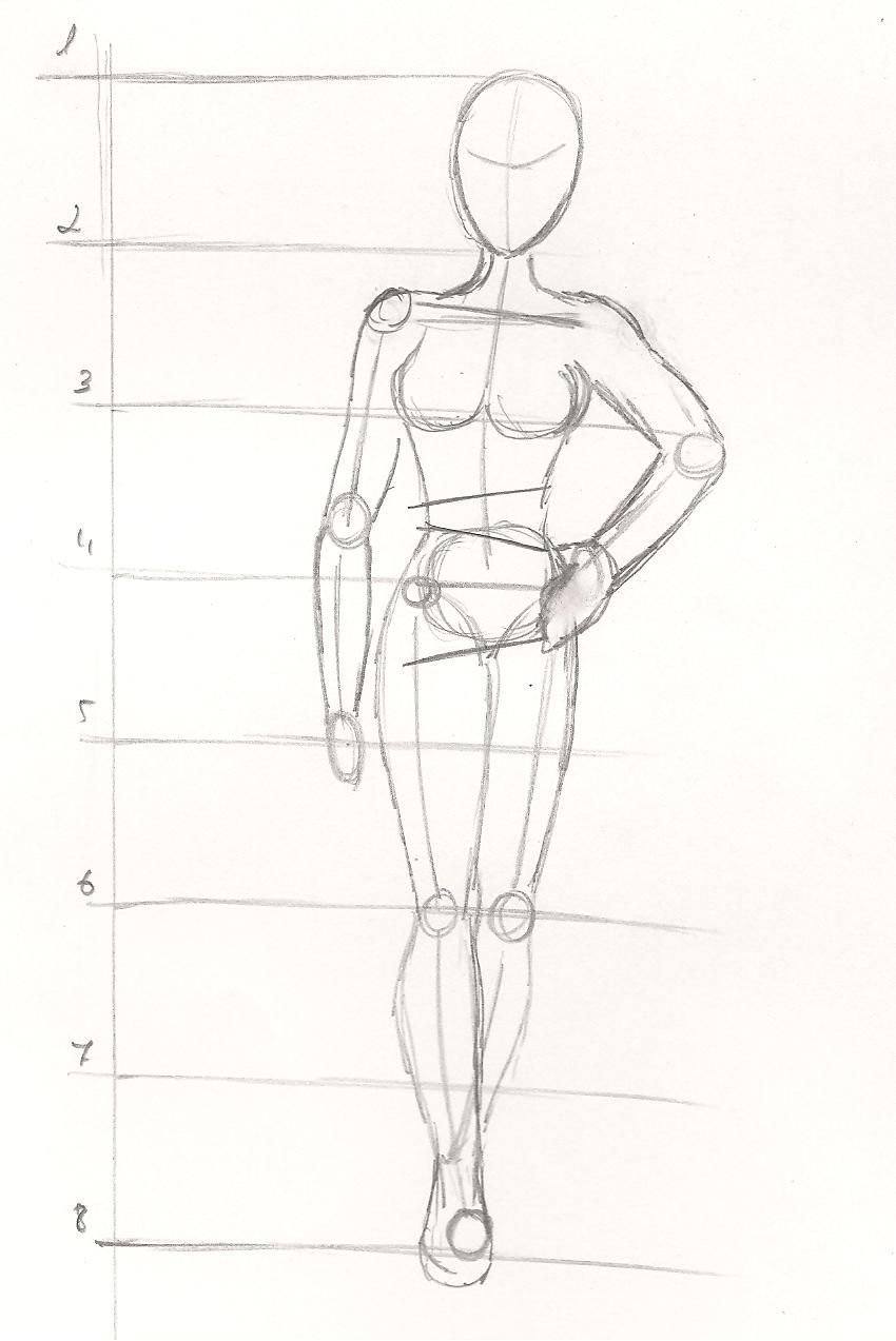Покажи рисунки тела человека. Тело человека для рисования. Пропорции человека для рисования. Фигура человека рисунок. Схема тела человека для рисования.