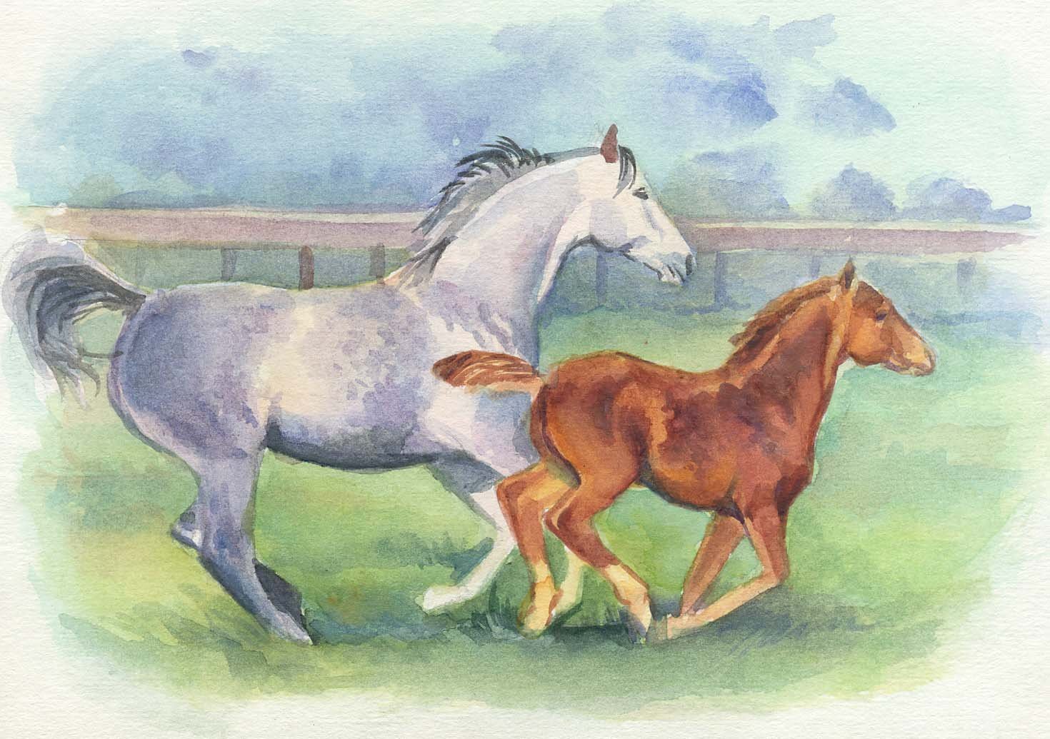 Лошадка открытки. Лошадь с жеребенком. Лошадь рисунок. Нарисовать лошадь. Кобыла с жеребенком.