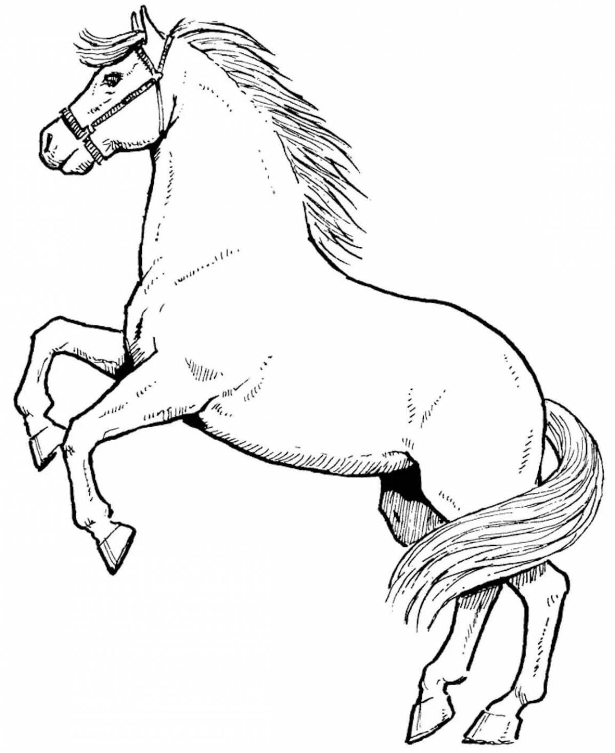 Лошадка черно белая. Раскраска. Лошади. Лошадь для раскрашивания. Лошадка раскраска для детей. Лошадь раскраска для детей.