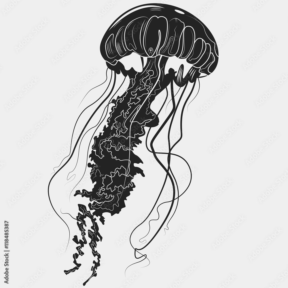 Медуза эскиз