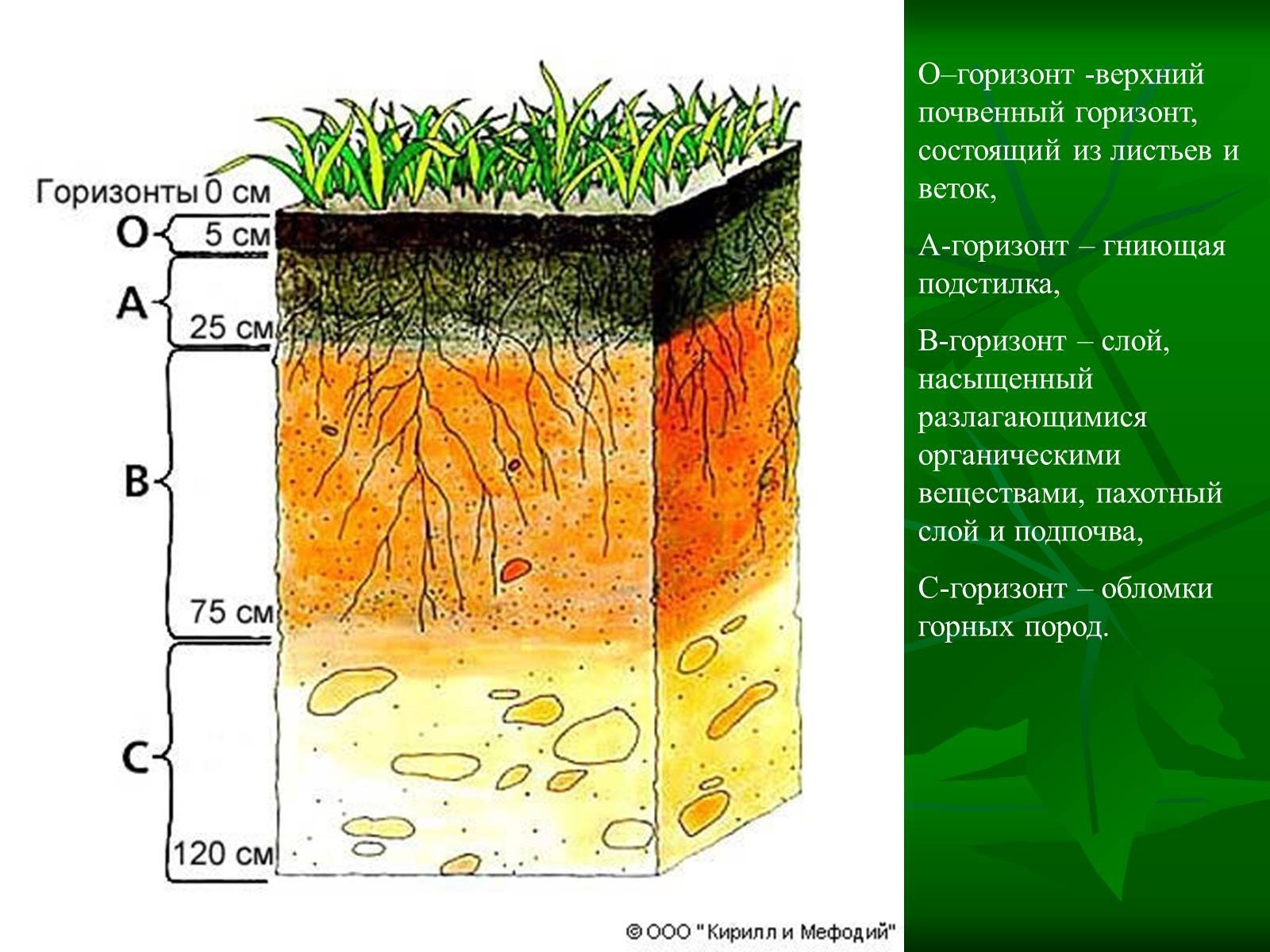 Горизонты горных пород. Строение почвы почвенные горизонты. Структура почвы почвенные горизонты. Слой почвенного горизонта. Почвенный профиль гумусовый Горизонт.