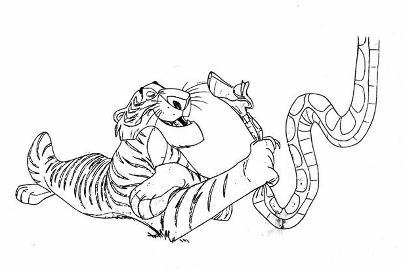 Обезьяна тигр змея. Раскраска Маугли Шерхан. Тигр Шерхан из Маугли раскраска. Тигр Шерхан Дисней. Тигр Шерхан из Маугли.