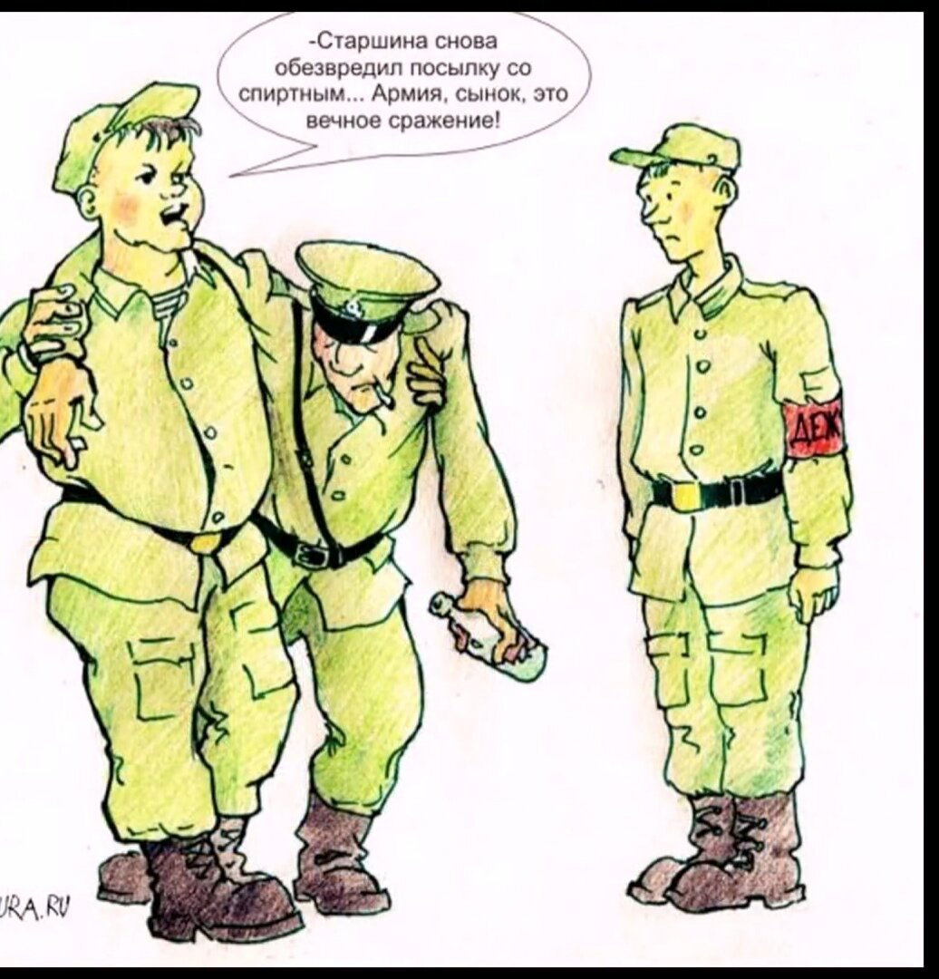Снова в погонах. Армейские карикатуры. Армия рисунки. Анекдоты про армию в картинках. Смешные рисунки про армию.
