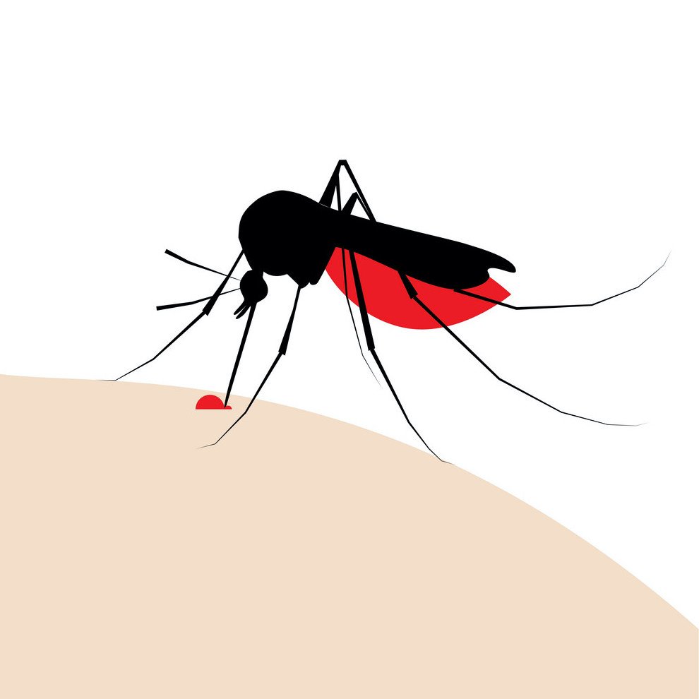Укус рисунок. Комар вектор. Укус комара иллюстрация. Укус насекомого рисунок.