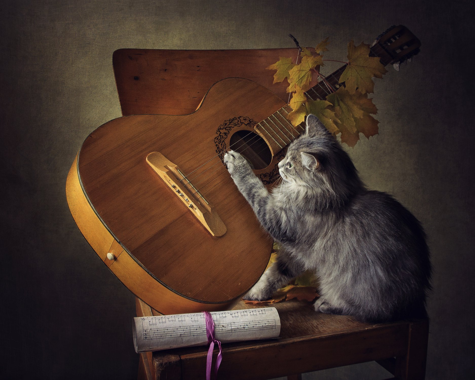 Кота музыкальные инструменты. Кот с гитарой. Натюрморт с гитарой. Котик с гитарой. Натюрморт с котом.
