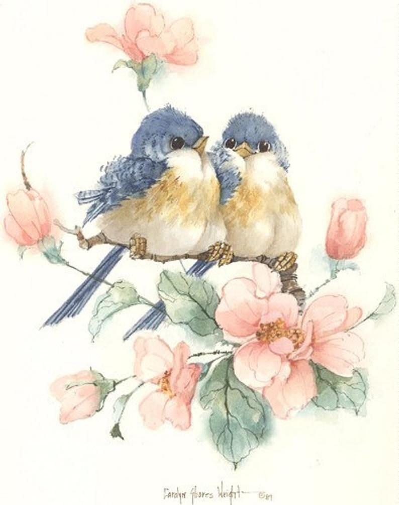 Птичка с цветами рисунок