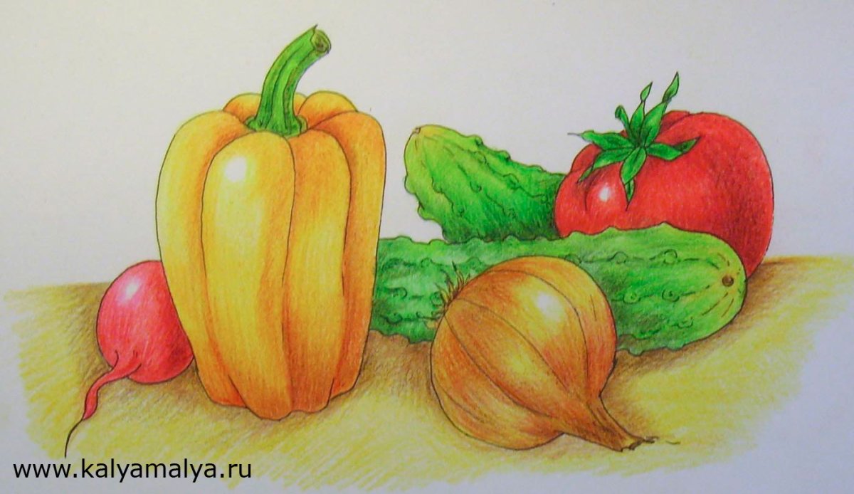 Рисунок карандашом овощи