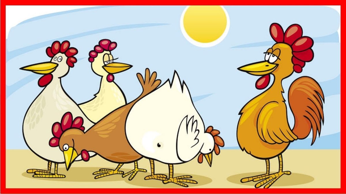 День 3 куриный. Три курицы. Курица карикатура. Картинка три курицы. Три курицы картинки смешные.