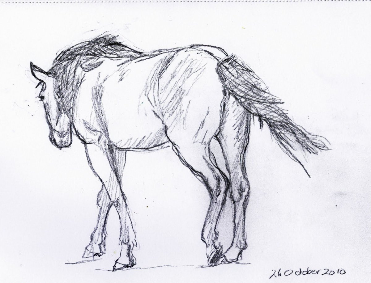 Нарисованная легко лошадь