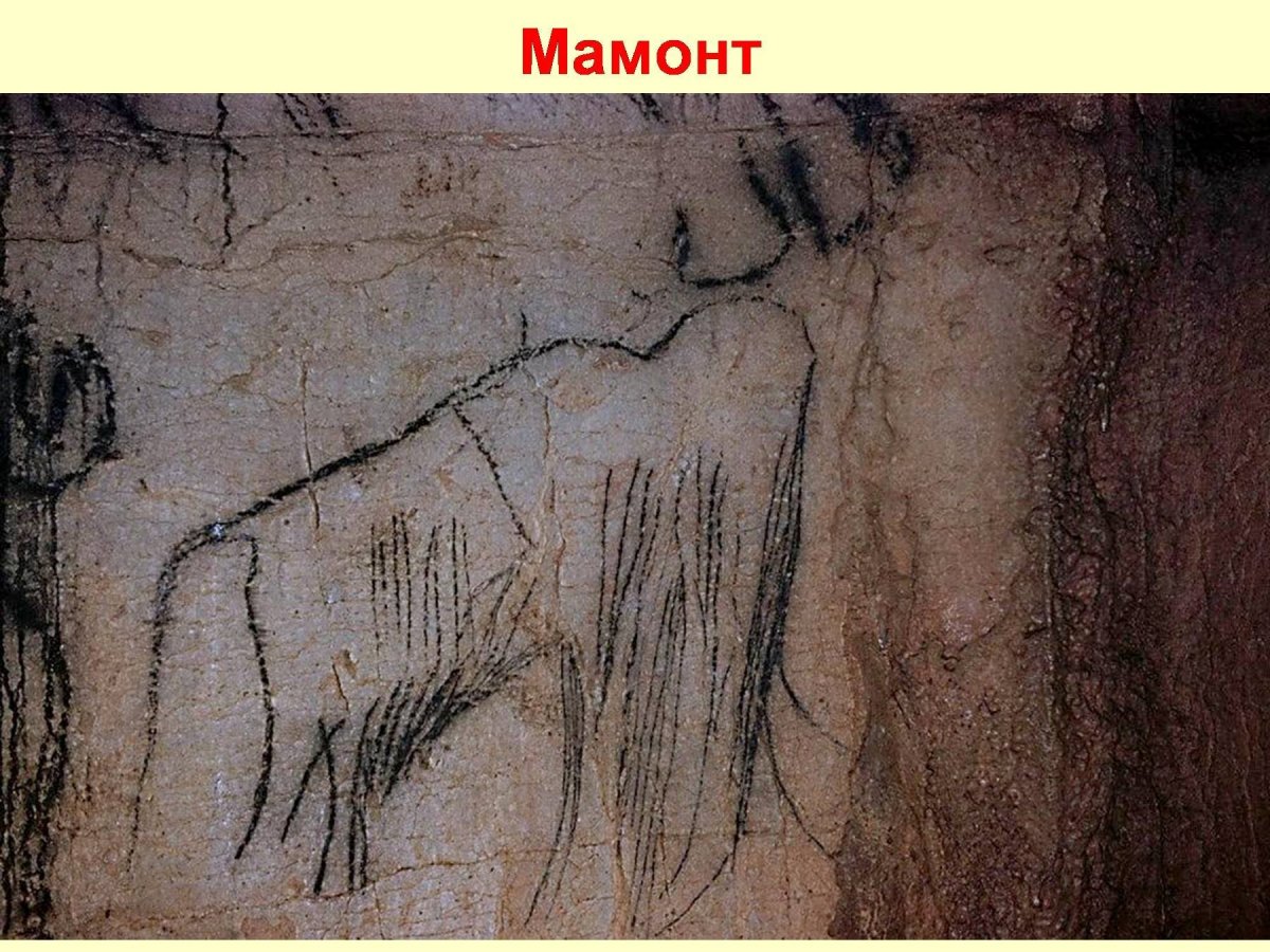 Наскальные рисунки мамонтов