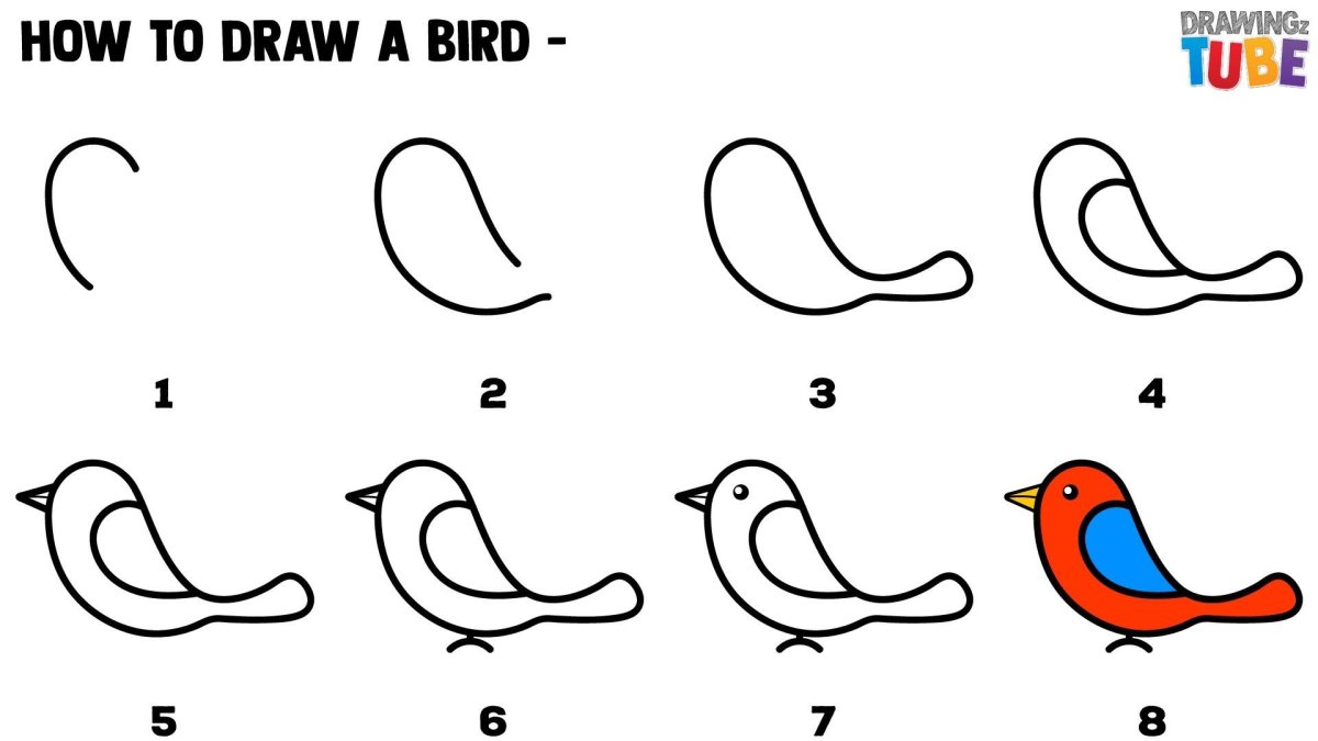 Птицы рисунок карандашом поэтапно для начинающих