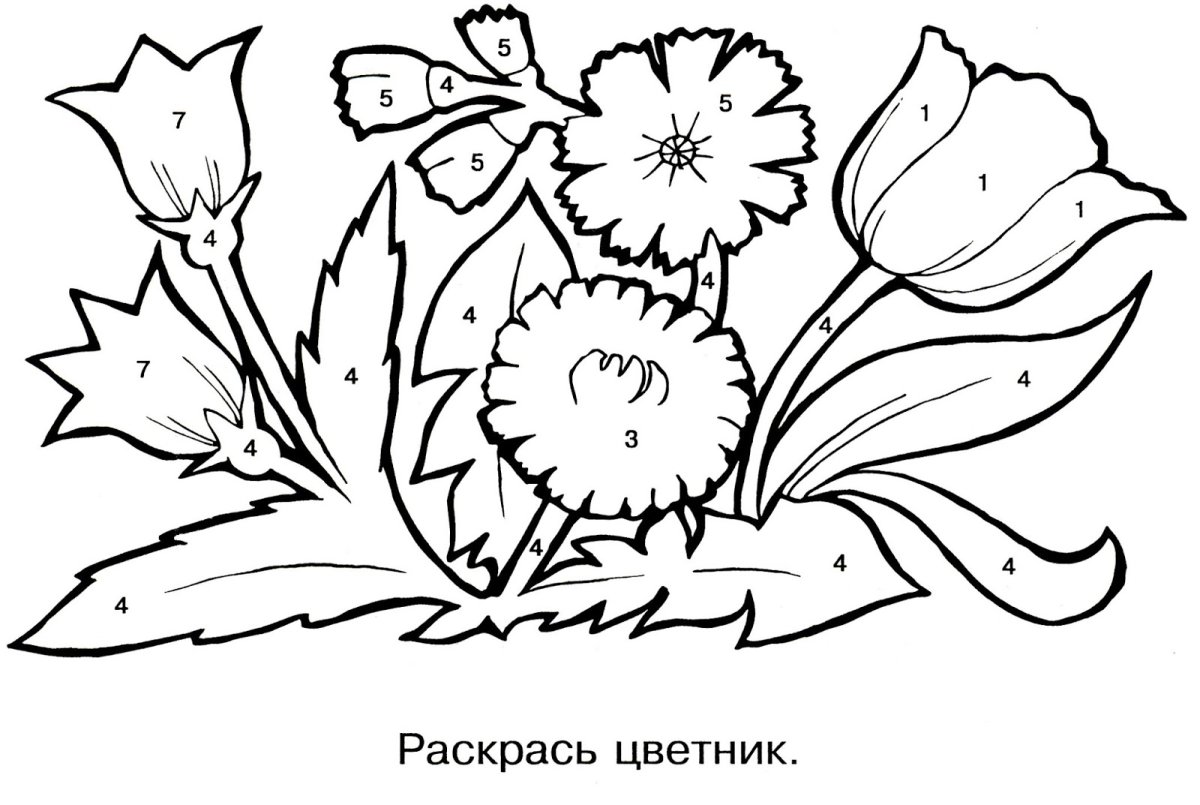 Легкий рисунок клумба с цветами