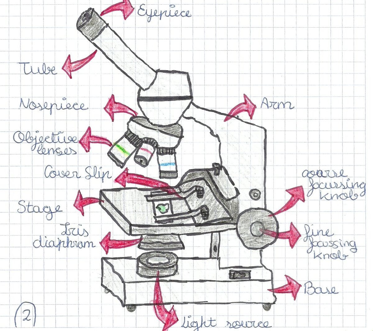 Микроскоп рисунок легкий
