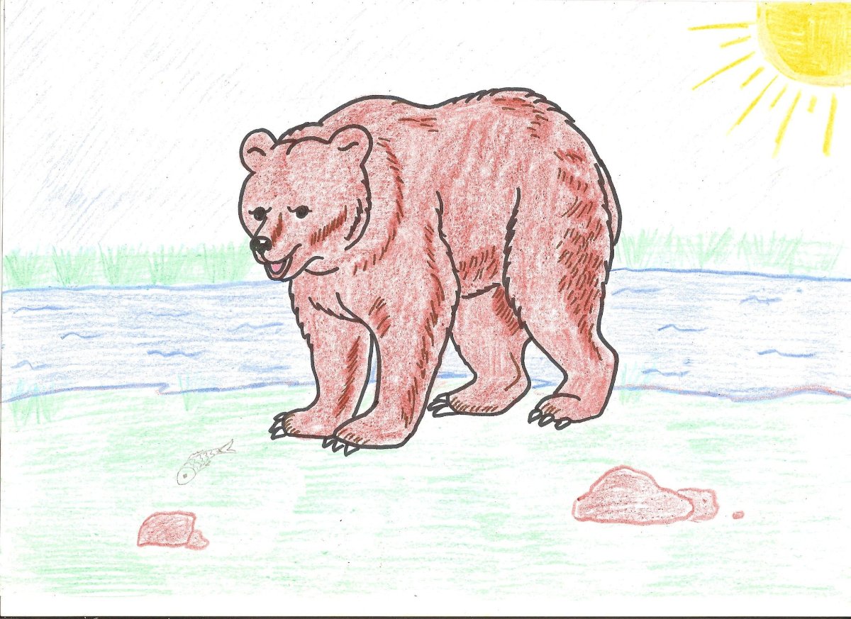 Дремучий медведь рисунок