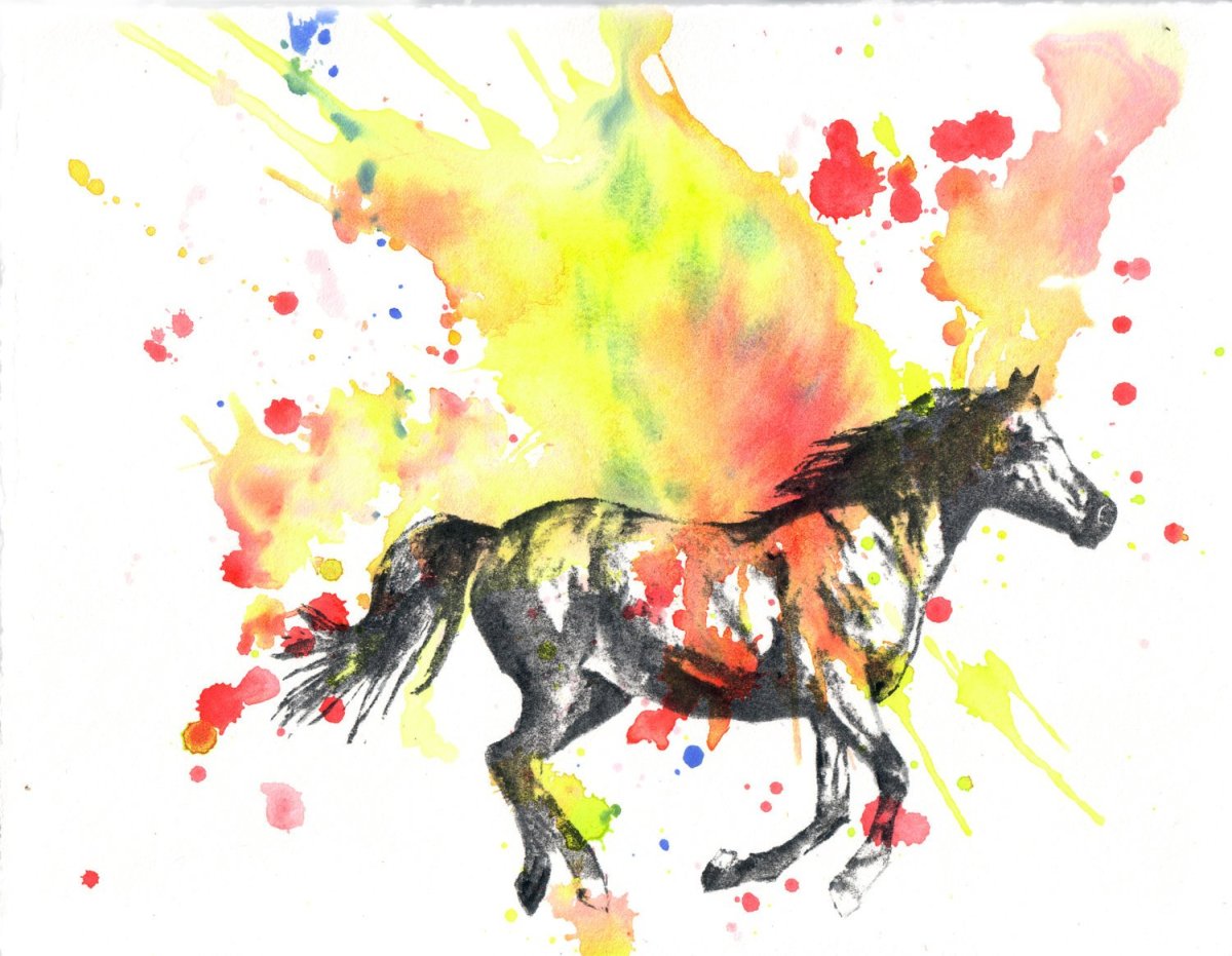 Лошадь акварелью. Зарисовки животных красками. Рисунки животных акварелью. Лошадь гуашью.