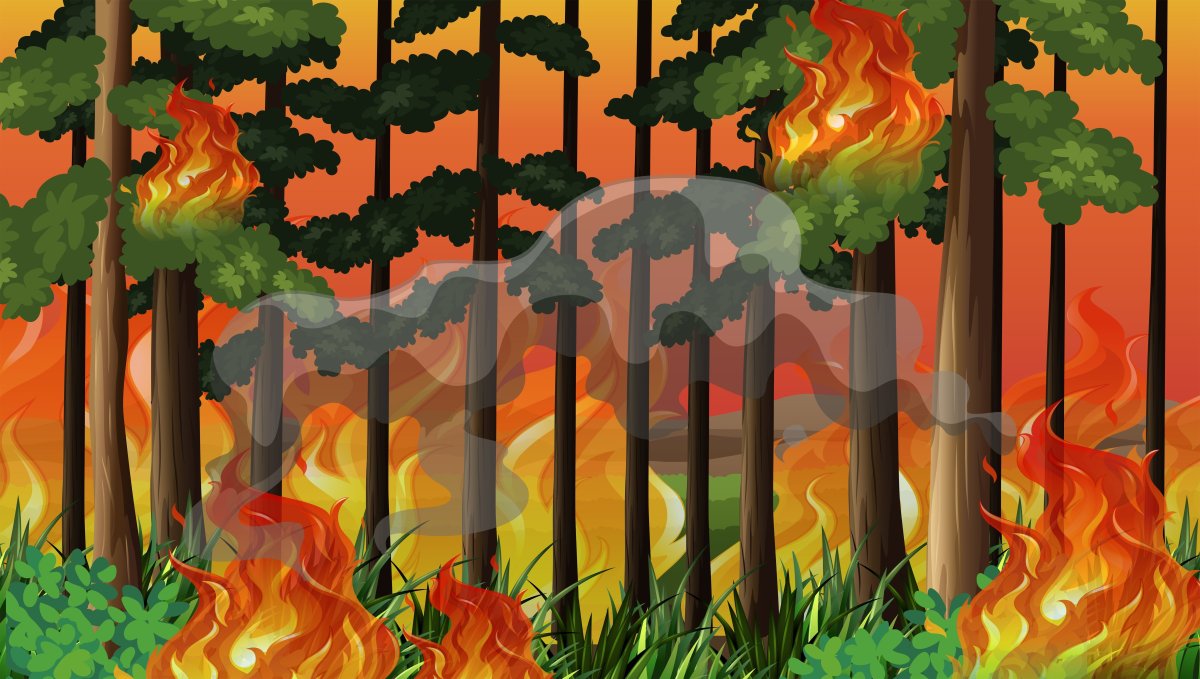Рисунок лес в огне