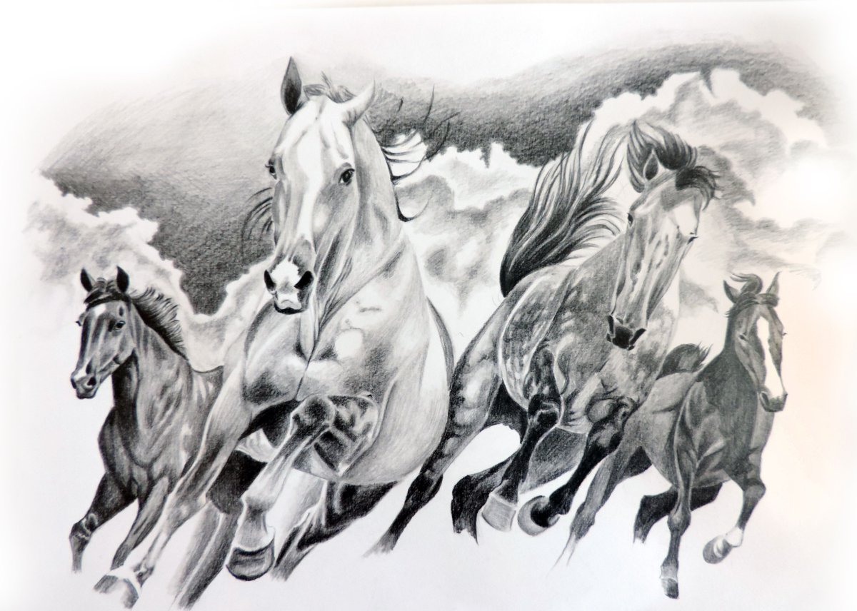 Табун лошадей рисунок