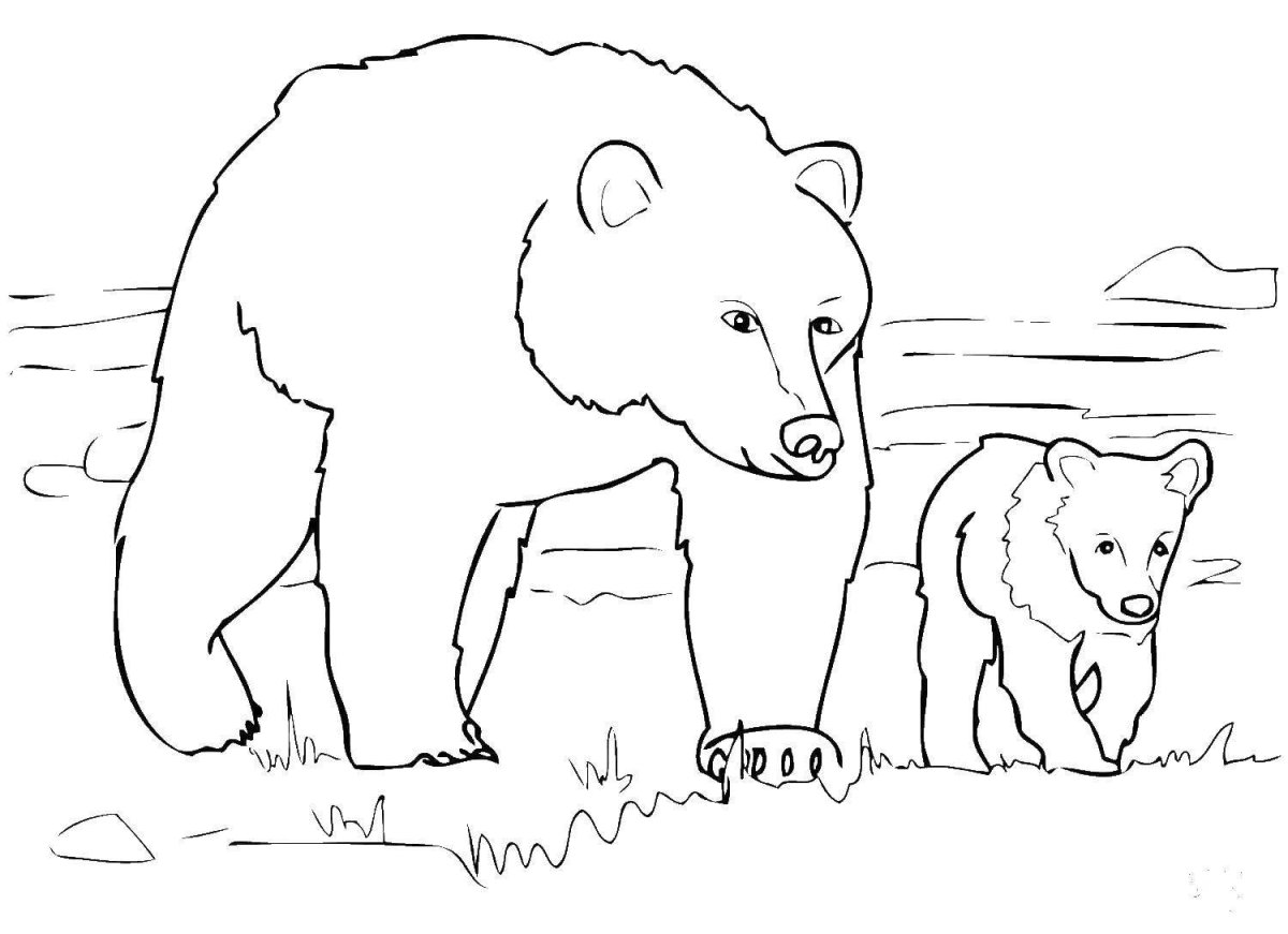 Медведица с медвежонком раскраска