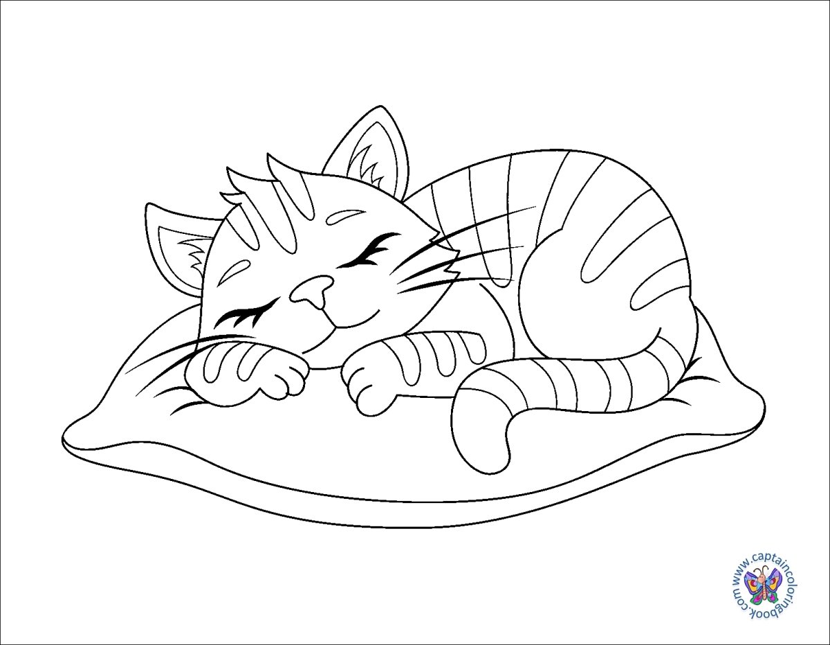 Cat nap раскраска. Спящий кот раскраска. Сонный кот раскраска. Спящий котик раскраска.