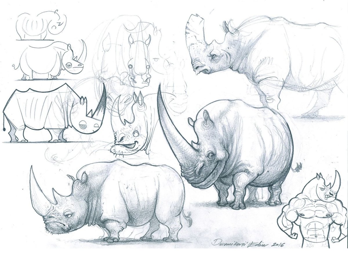 Нарисованный носорог