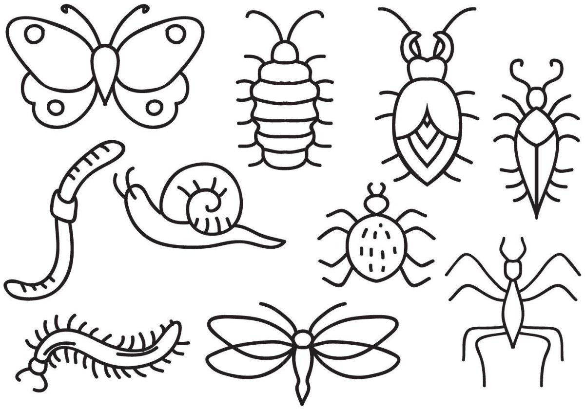 Рисунок на тему насекомые
