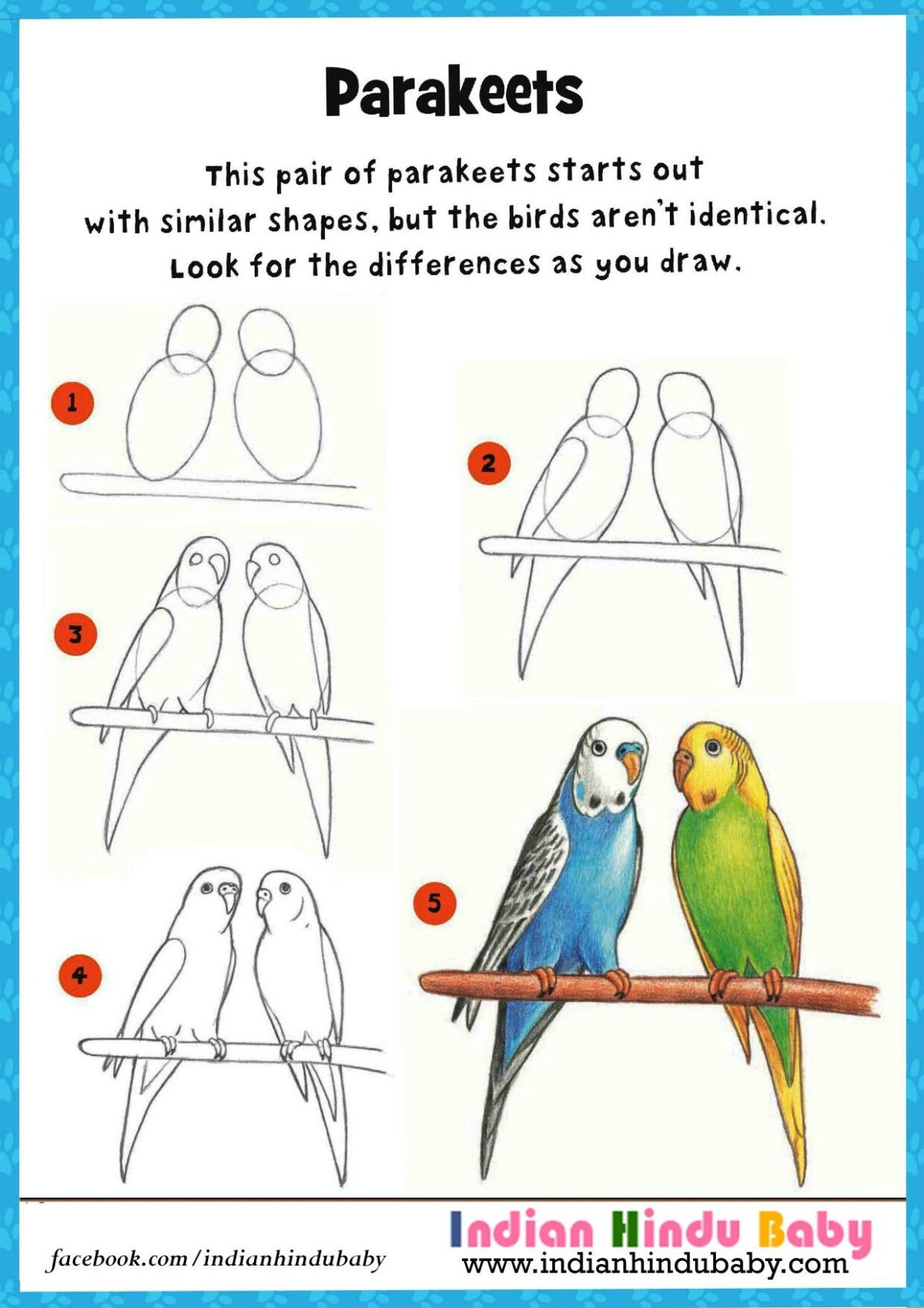 Рисунок волнистого попугая