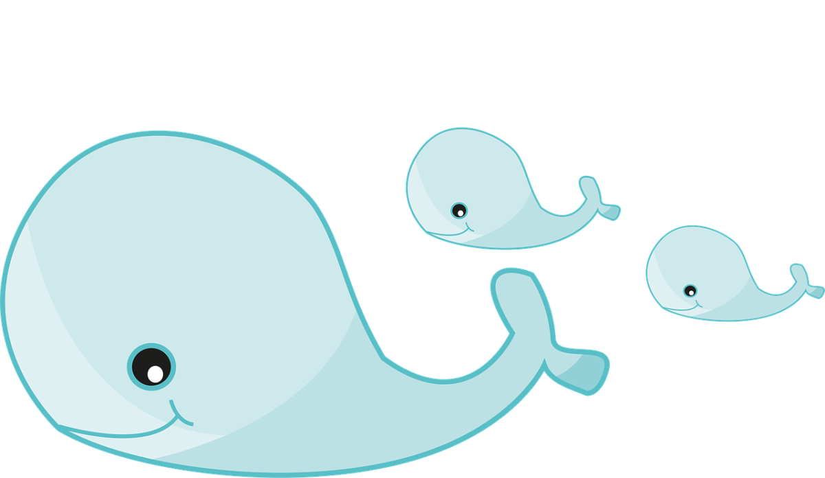 Маленький кит рисунок