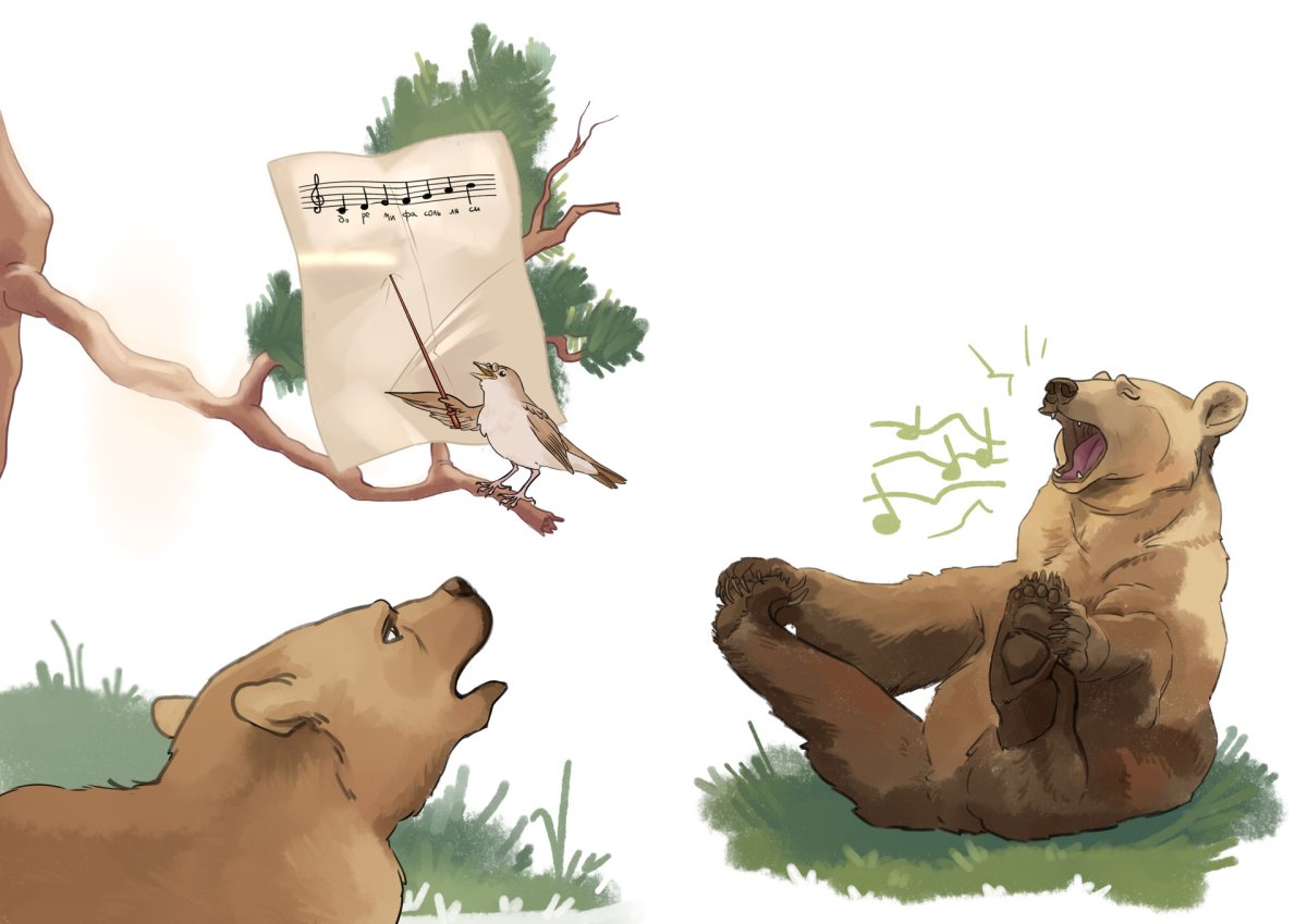 Медведь смешной рисунок