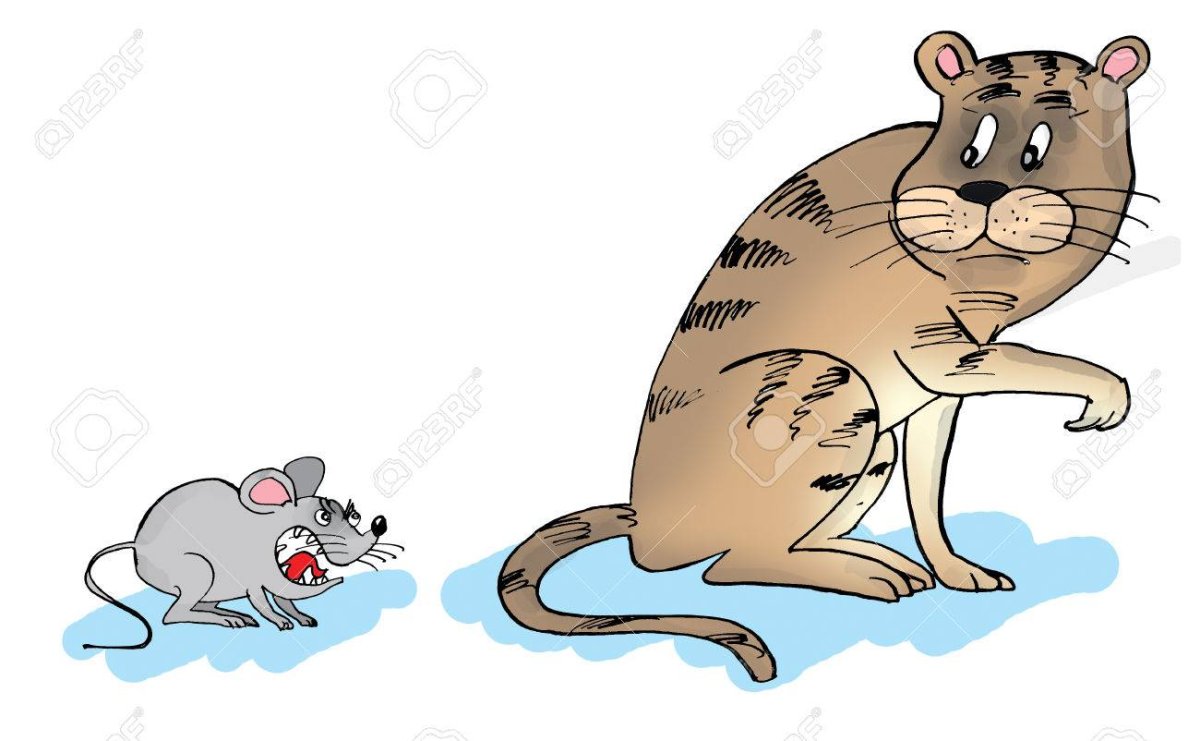 Рисунок кот и мышка