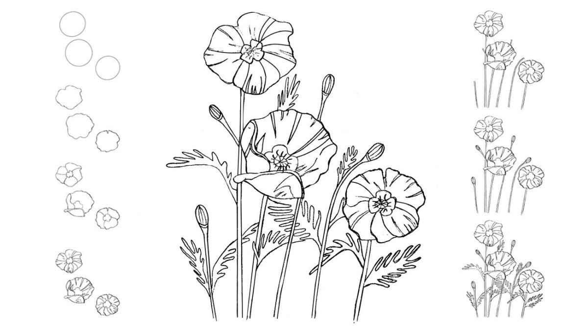 Букет полевых цветов рисунок карандашом