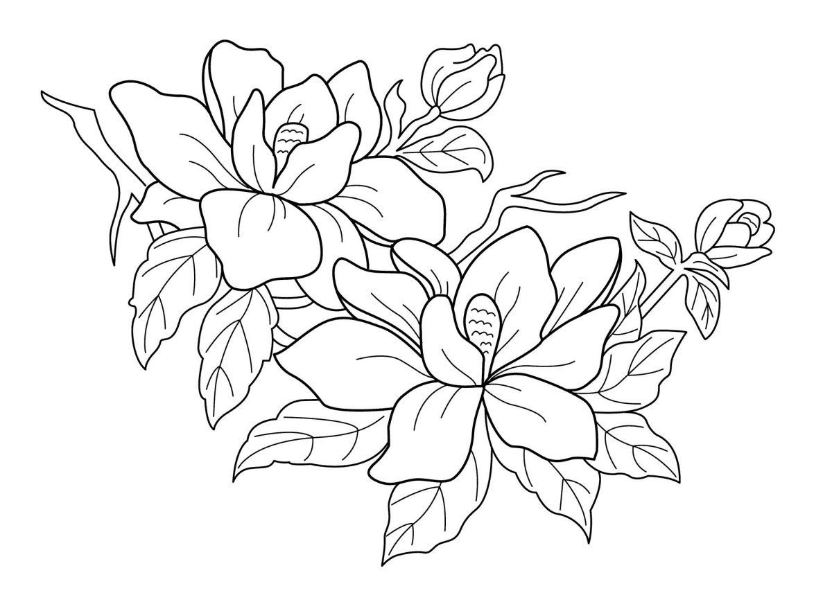 Рисунки цветочки для срисовки