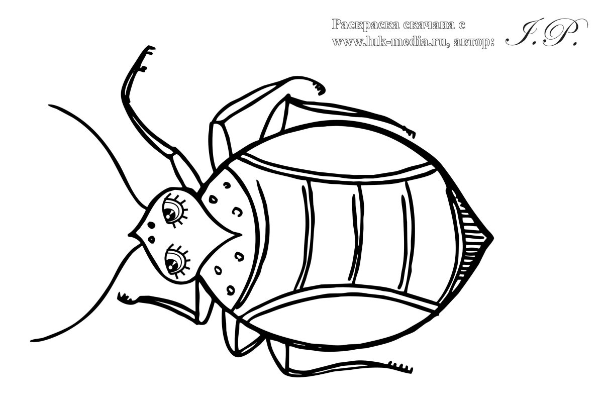 Раскраска жуки и насекомые