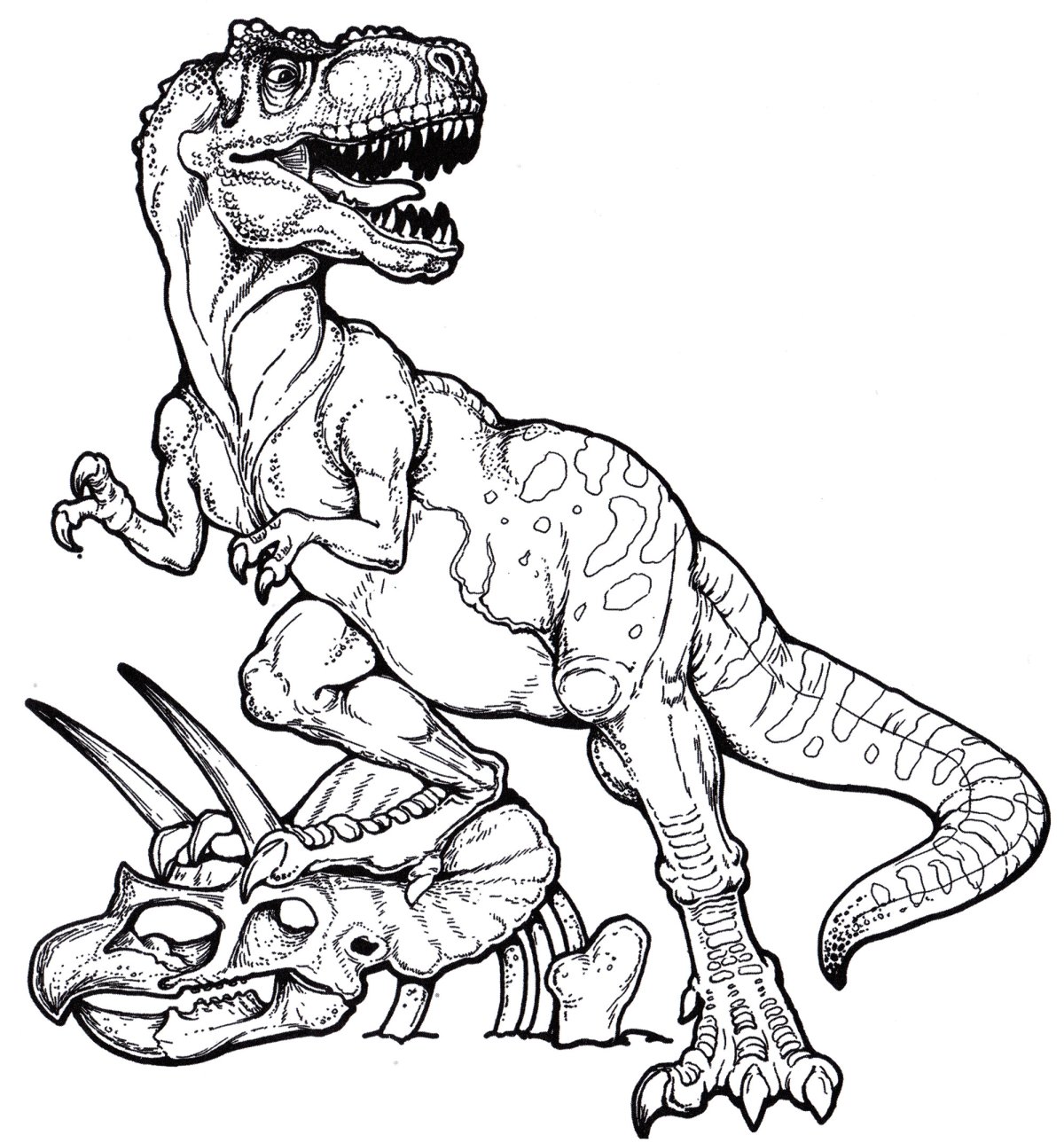 Динозавр тирекс раскраска