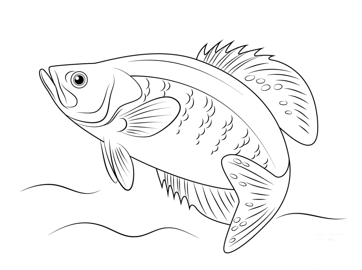 Рисунки рыб байкала