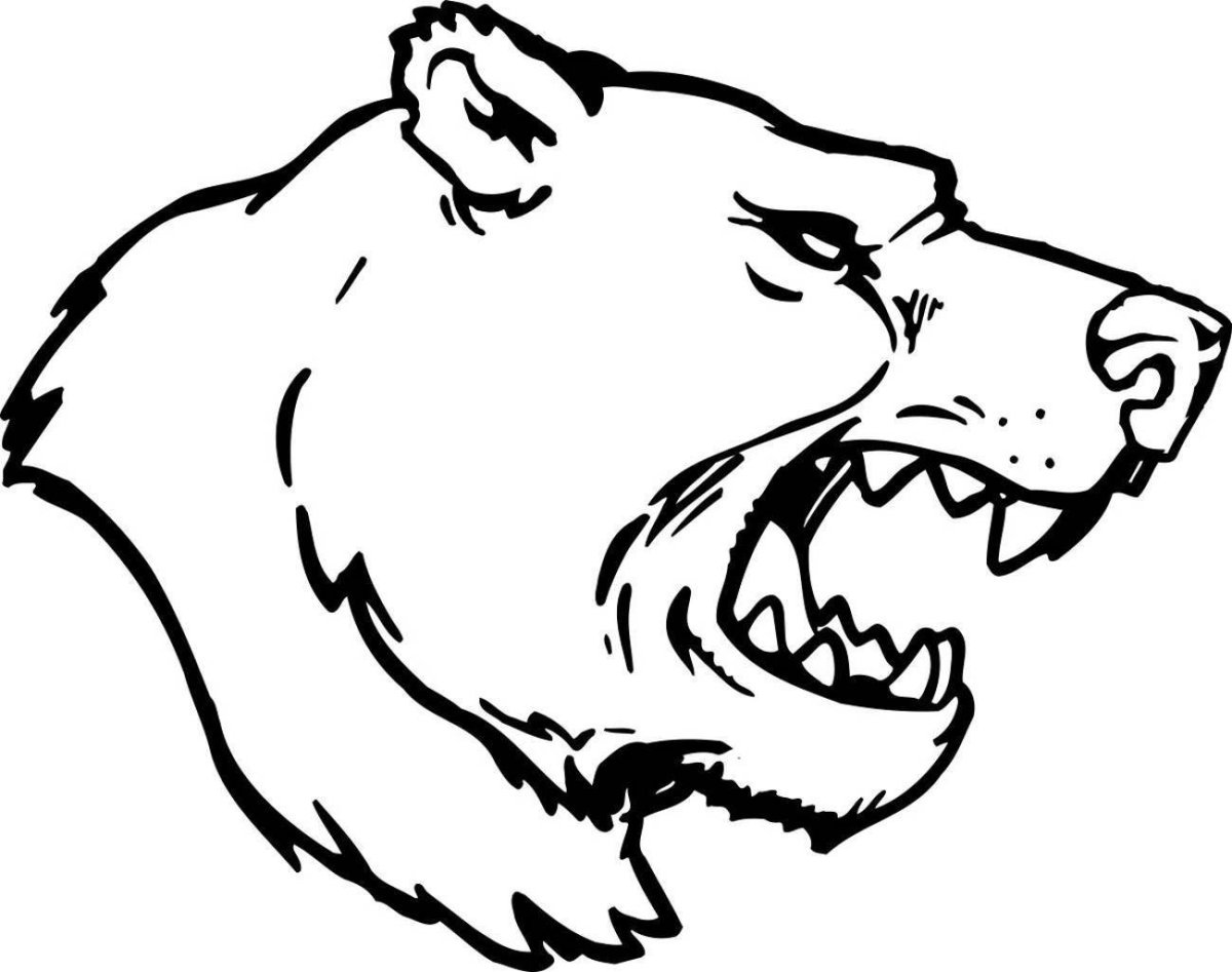 Медведь черно белый рисунок